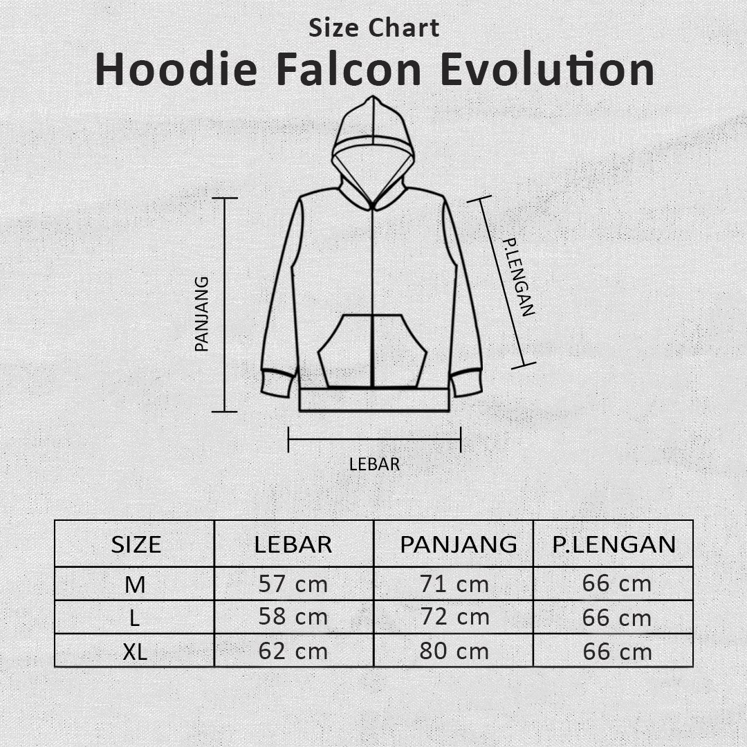 HOODIE FALCON EVOLUTION - Image 4